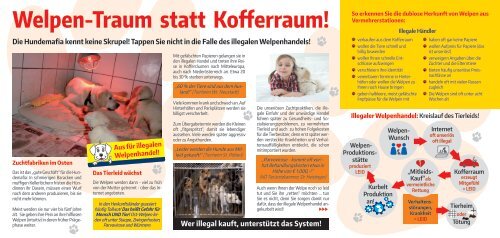 Kampagne: Welpen-Traum statt Kofferraum 