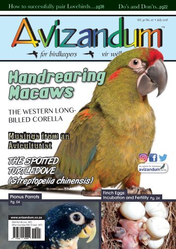 Avizandum ( July 2018 )