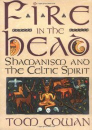 [PDF] Download Fire in the Head: Shamanism And The Celtic Spirit Online