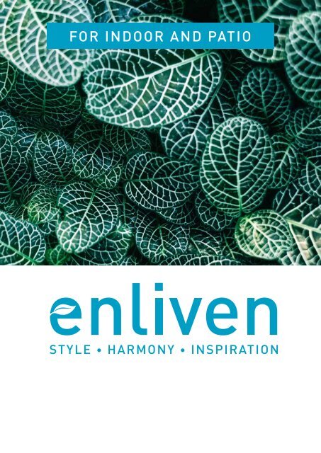 Enliven Magazine