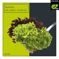 Salade Plein Champ 2018