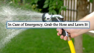 In Case of Emergency, Grab the Hose and Lawn It