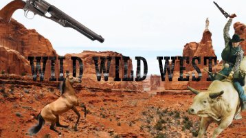 WILD WILD West