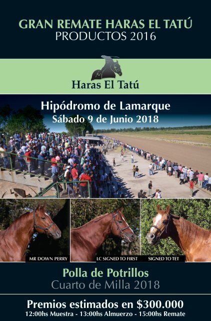 Haras Tatu 18