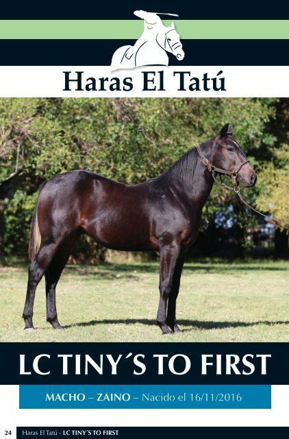 Haras Tatu 18