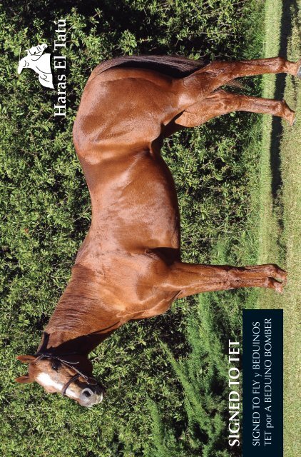 Haras Tatu 18