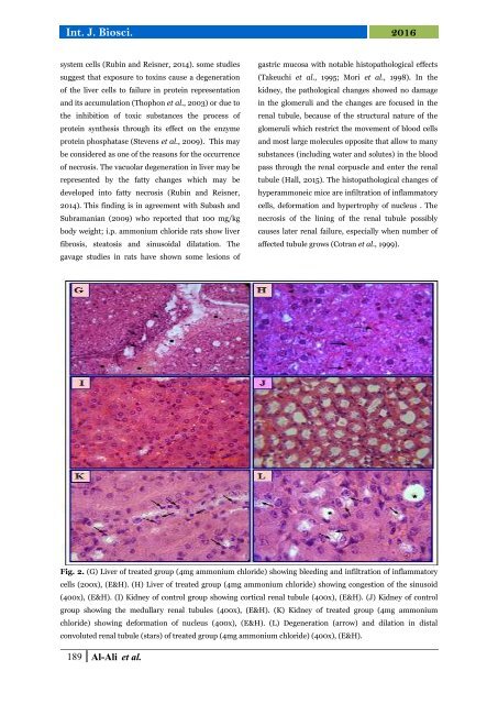 A study of histopathological effects and functional tests in liver and kidney of laboratory male mice treated with ammonium chloride