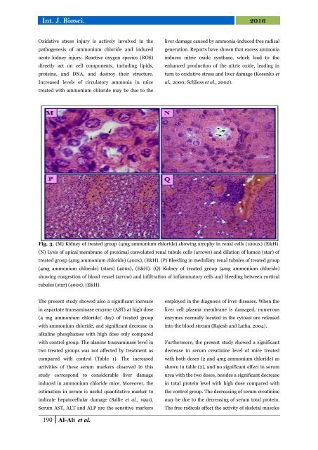 A study of histopathological effects and functional tests in liver and kidney of laboratory male mice treated with ammonium chloride