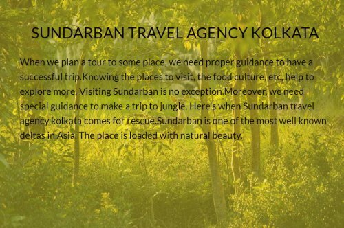 Sundarban Travel Agency Kolkata