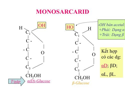 HÓA HỌC VÀ CHUYỂN HÓA GLLUCID