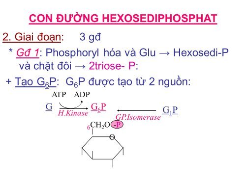 HÓA HỌC VÀ CHUYỂN HÓA GLLUCID