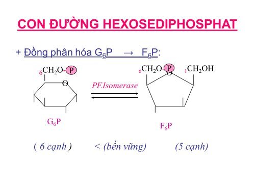 HÓA HỌC VÀ CHUYỂN HÓA GLLUCID