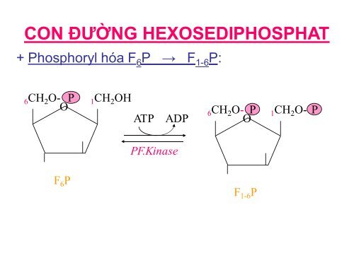 HÓA HỌC VÀ CHUYỂN HÓA GLLUCID