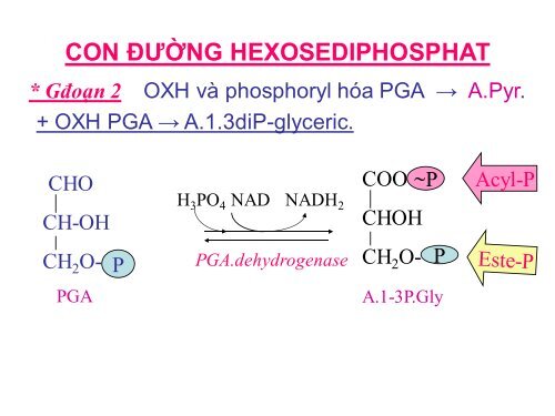 HÓA HỌC VÀ CHUYỂN HÓA GLLUCID