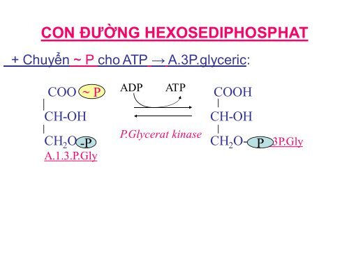 HÓA HỌC VÀ CHUYỂN HÓA GLLUCID