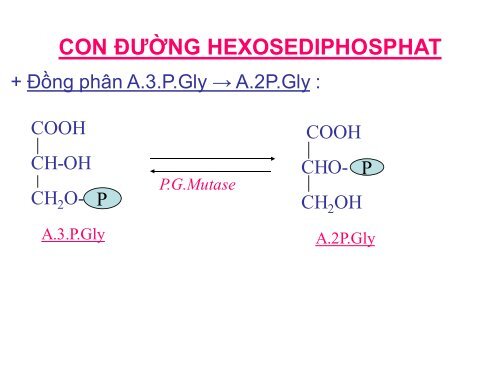 HÓA HỌC VÀ CHUYỂN HÓA GLLUCID