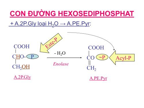 HÓA HỌC VÀ CHUYỂN HÓA GLLUCID