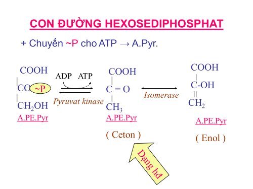 HÓA HỌC VÀ CHUYỂN HÓA GLLUCID