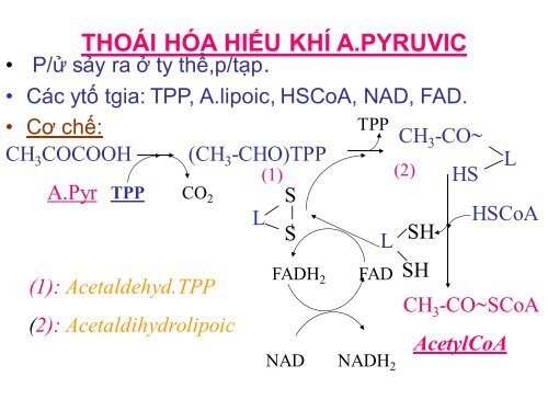 HÓA HỌC VÀ CHUYỂN HÓA GLLUCID