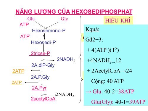 HÓA HỌC VÀ CHUYỂN HÓA GLLUCID