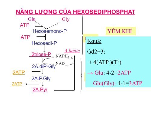 HÓA HỌC VÀ CHUYỂN HÓA GLLUCID