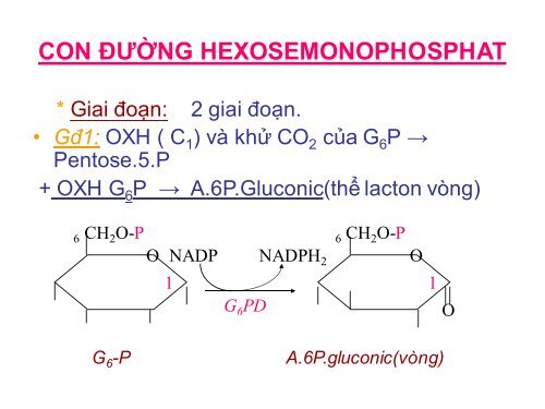 HÓA HỌC VÀ CHUYỂN HÓA GLLUCID