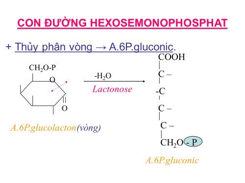 HÓA HỌC VÀ CHUYỂN HÓA GLLUCID