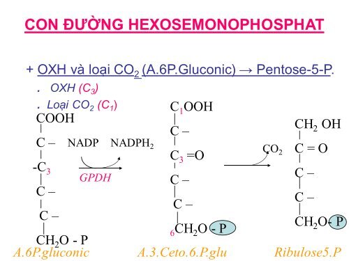 HÓA HỌC VÀ CHUYỂN HÓA GLLUCID