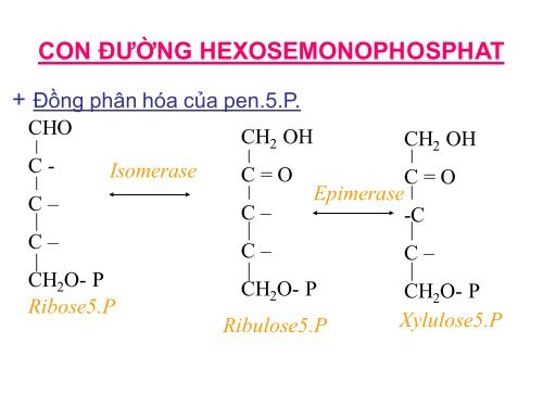 HÓA HỌC VÀ CHUYỂN HÓA GLLUCID