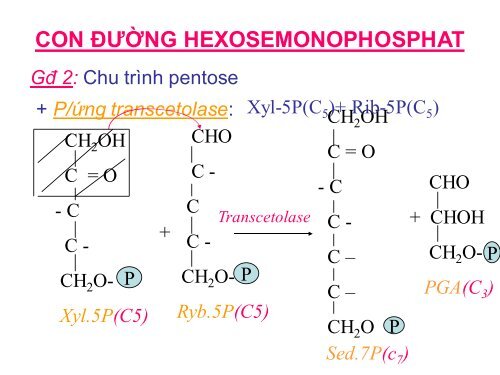 HÓA HỌC VÀ CHUYỂN HÓA GLLUCID