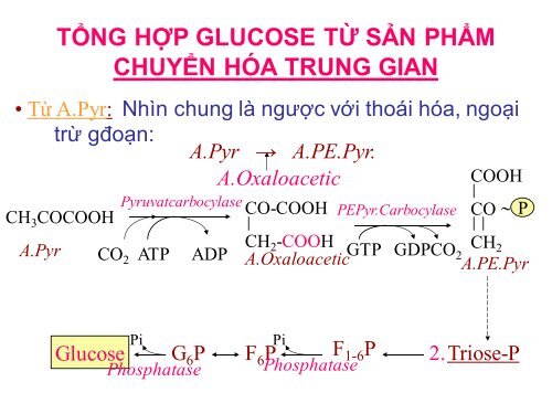 HÓA HỌC VÀ CHUYỂN HÓA GLLUCID