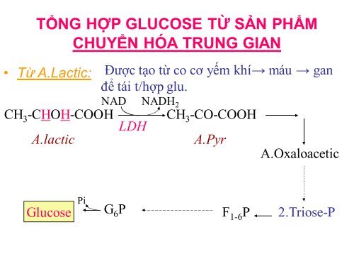 HÓA HỌC VÀ CHUYỂN HÓA GLLUCID