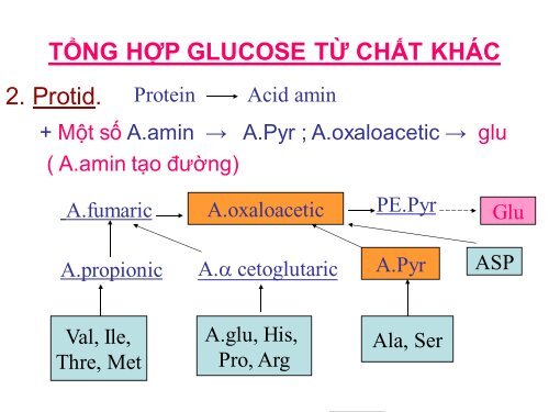 HÓA HỌC VÀ CHUYỂN HÓA GLLUCID