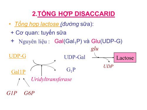 HÓA HỌC VÀ CHUYỂN HÓA GLLUCID