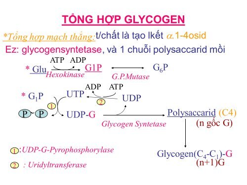 HÓA HỌC VÀ CHUYỂN HÓA GLLUCID