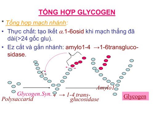 HÓA HỌC VÀ CHUYỂN HÓA GLLUCID