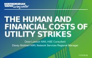 3 - Insight - Dean Lawson - Human and finacial cost of utility strikes