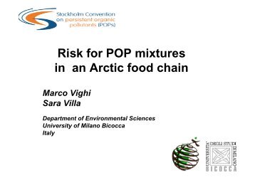 Risk for POP mixtures in an Arctic food chain