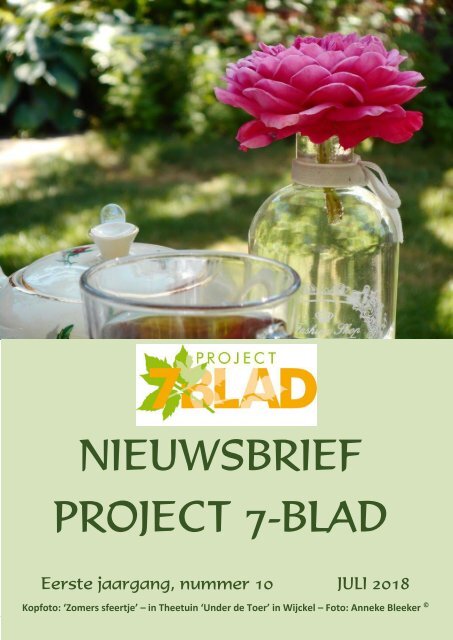 2018-07-NIEUWSBRIEF-NIEUW-7-BLAD-10