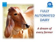 Automation of Dairy Process PDF
