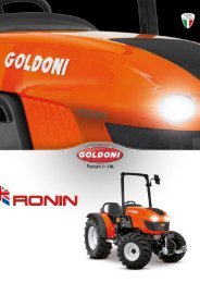 Goldonin Ronin (eng)