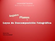 planos angulos y leyes de la descomposicion