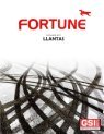 CATÁLOGO LLANTAS FORTUNE Febrero 2018