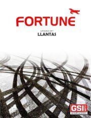 CATÁLOGO LLANTAS FORTUNE Febrero 2018
