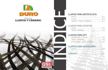 CATALOGO LLANTAS DURO Junio 2018