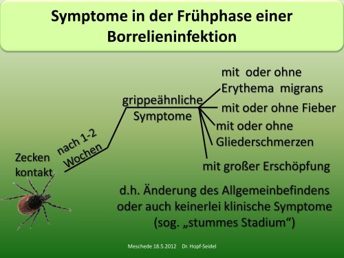 Vortrag in Meschede am 18.5.2012 über die - Dr. med. Petra Hopf ...