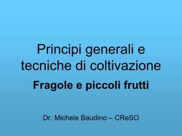 Fragole e piccoli frutti - Comune di Cuneo