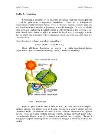 Vjezba 9_Fotosinteza.pdf