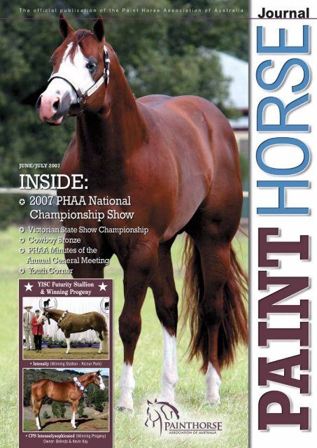 YISC Futurity Stallion & Winning Progeny - Paint Horse Association