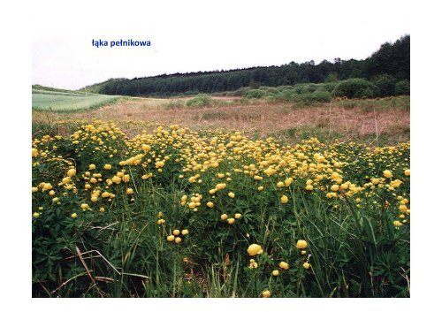 Prawidłowe użytkowanie siedlisk przyrodniczych ... - Baltic Green Belt